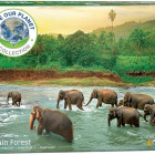 Puzzle - Eurographics - Sloni v řece