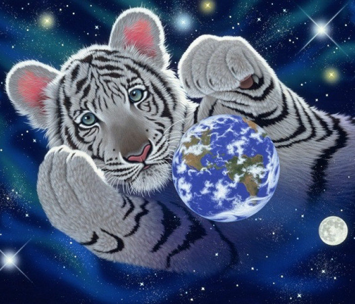 Puzzle - Grafika - Objetí Zeměkoule