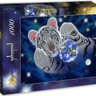 Puzzle - Grafika - Objetí Zeměkoule