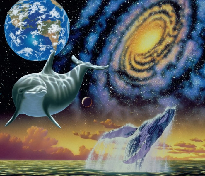 Puzzle - Grafika - Vesmírný oceán