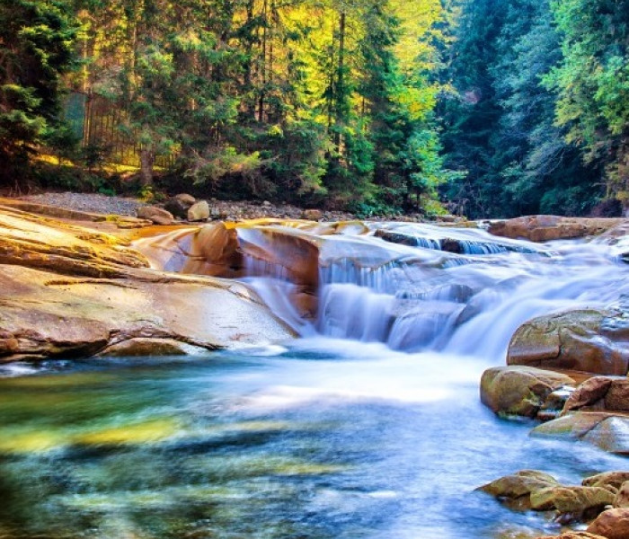 Puzzle - Grafika - Krásný vodopád v lese