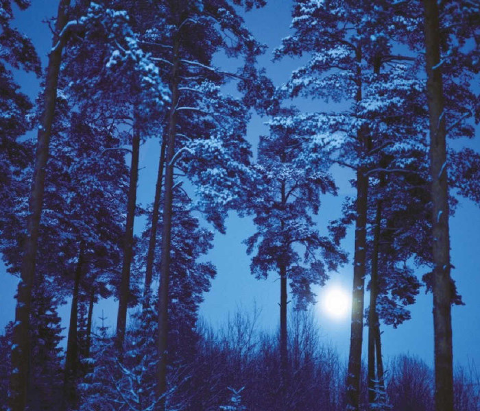 Puzzle - Heye - Úplněk