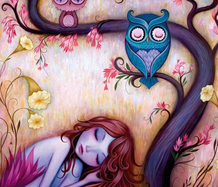 Puzzle - Heye - Strom přání