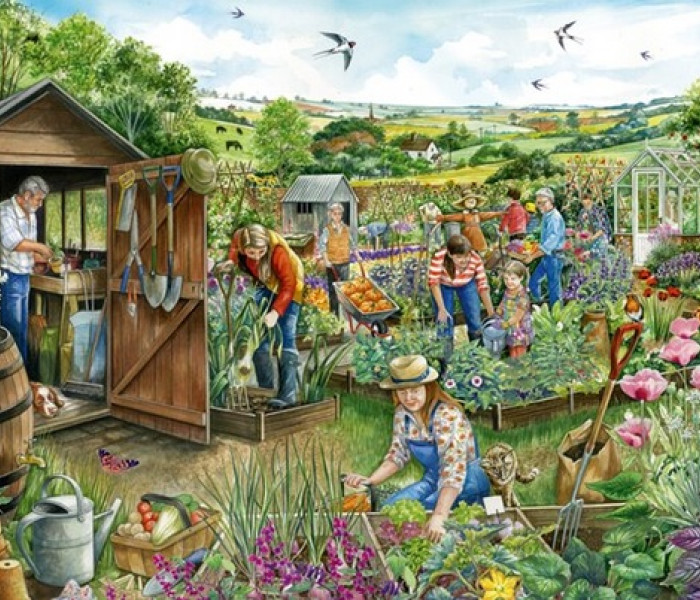 Puzzle - Falcon - Dole na zahrádce