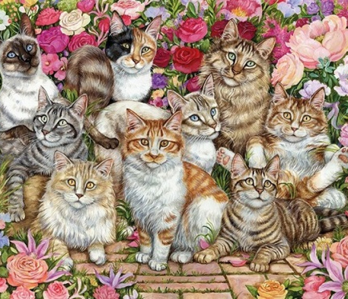 Puzzle - Falcon - Kočky v květinách