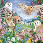 Puzzle - Falcon - Sovy