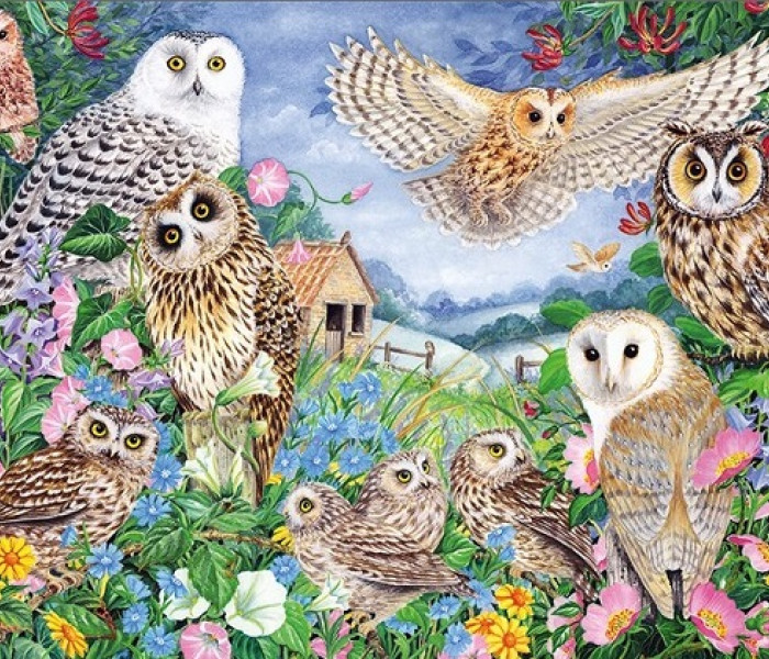 Puzzle - Falcon - Sovy