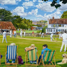 Puzzle - Falcon - Sporty na trávníku