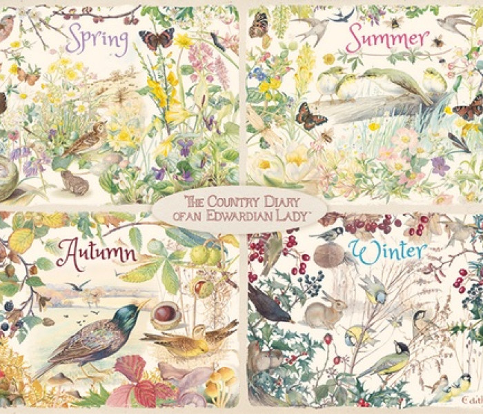 Puzzle - Falcon - Čtyři roční období na venkově