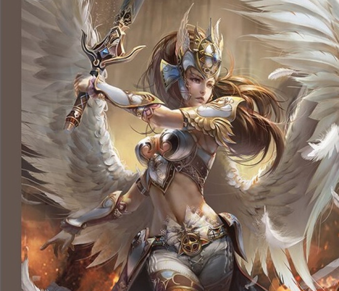 Puzzle - Jumbo - Anděl - bojovník