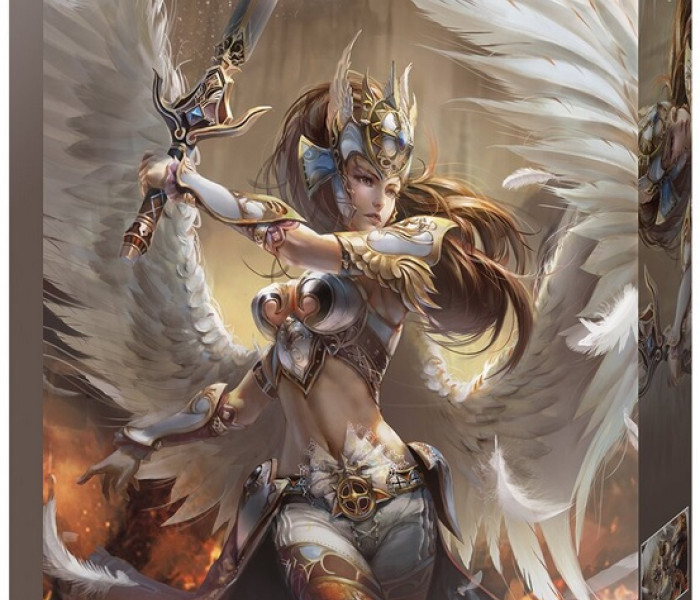 Puzzle - Jumbo - Anděl - bojovník