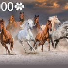 Puzzle - Jumbo - Koně na pusti