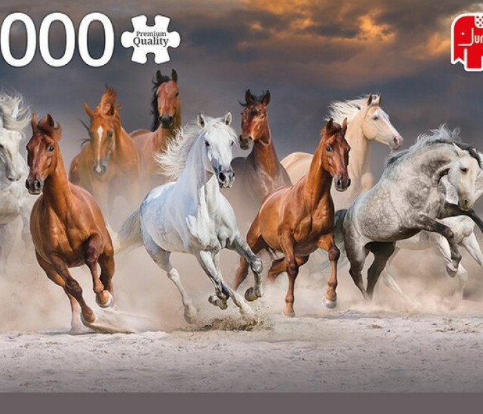 Puzzle - Jumbo - Koně na pusti