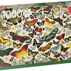 Puzzle - Jumbo - Motýli