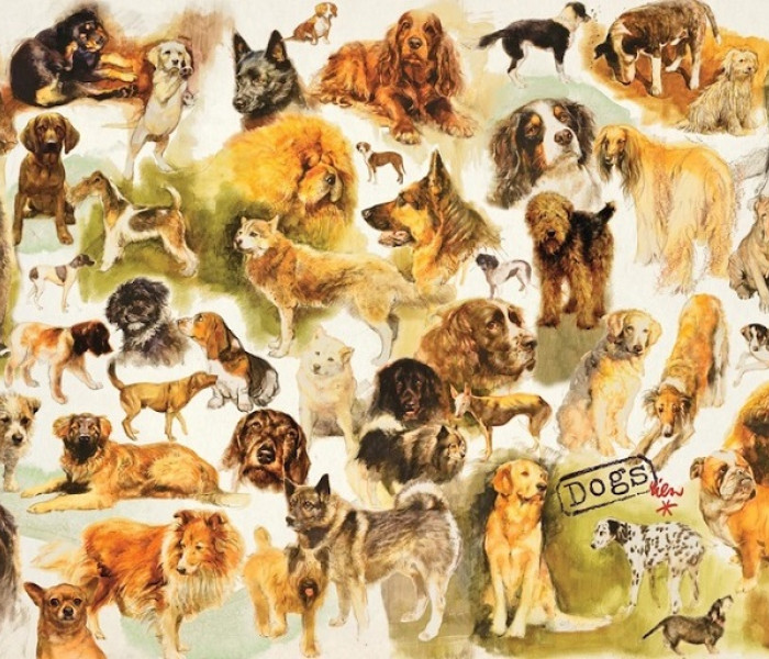 Puzzle - Jumbo - Plakát se psy