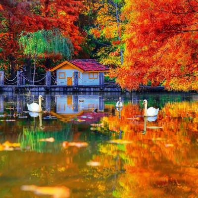 Malý domek u jezera