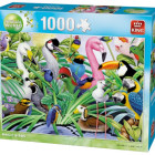Puzzle - King - Úžasní ptáci