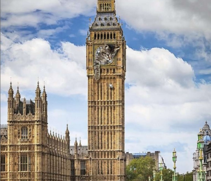 Puzzle - Ravensburger - Kočka na Big Benu