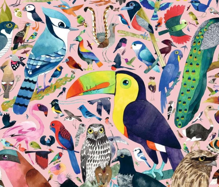 Puzzle - Ravensburger - Úžasní ptáci