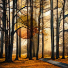 Puzzle - Schmidt - Magický les