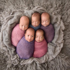 Puzzle - Schmidt - Pět v klubíčku