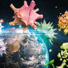 Puzzle - Schmidt - Planeta Země 2020