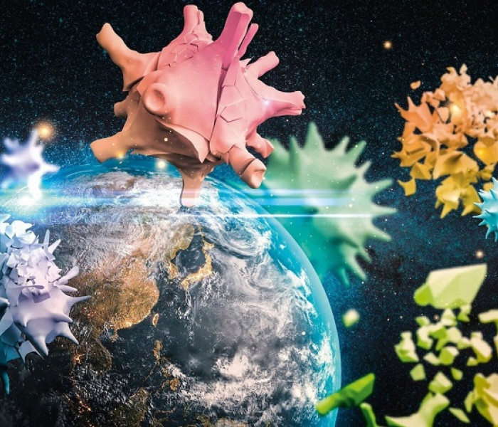 Puzzle - Schmidt - Planeta Země 2020