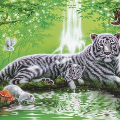 U vodopádu - Panoramatické puzzle - Step 79405