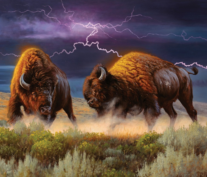 Puzzle - Sunsout - Bizoni