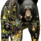 Puzzle - Sunsout - Medvědi