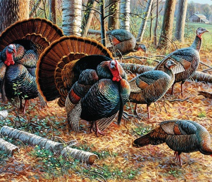 Puzzle - Sunsout - Krocani