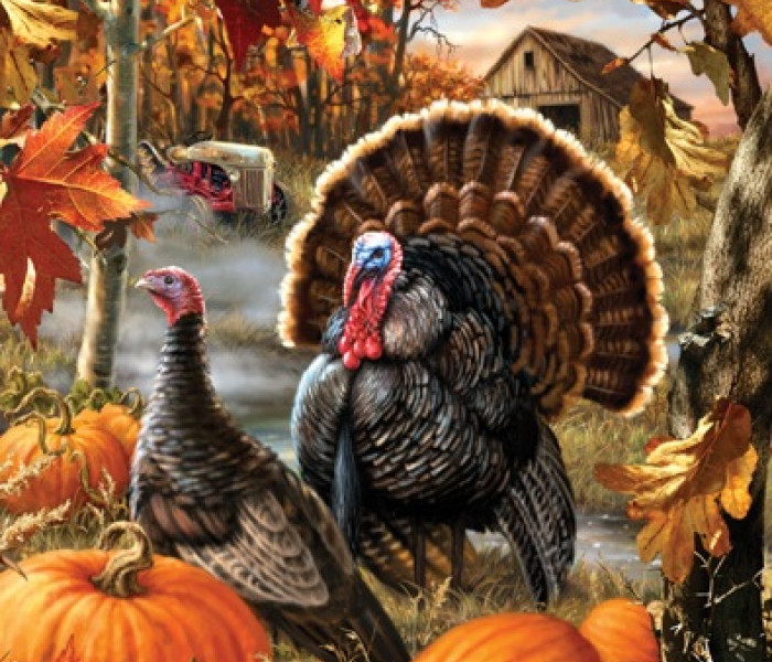 Puzzle - Sunsout - Krocani na podzim