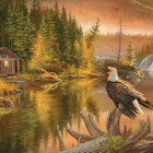 Puzzle - Sunsout - Mořský orel