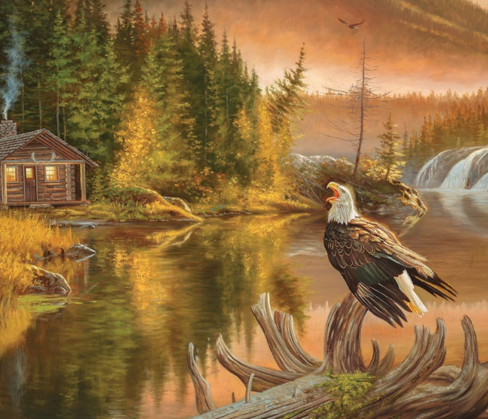 Puzzle - Sunsout - Mořský orel