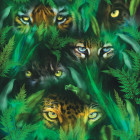 Puzzle - Sunsout - Oči džungle