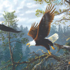 Puzzle - Sunsout - Orlí hnízdo