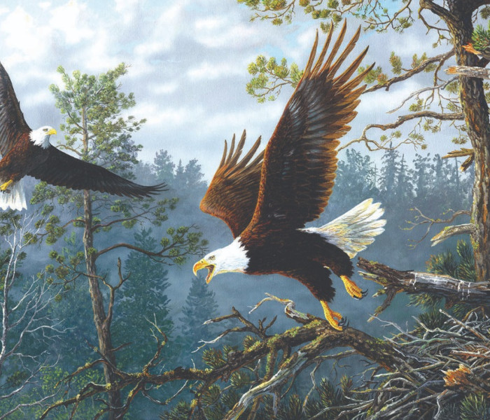 Puzzle - Sunsout - Orlí hnízdo