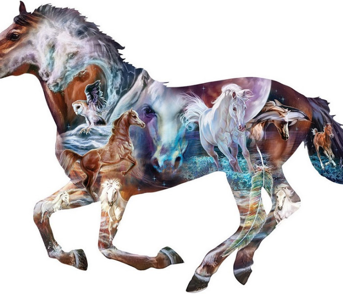 Puzzle - Sunsout - Tajemný kůň