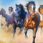Puzzle - Trefl - Cválající koně