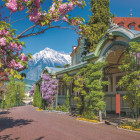 Puzzle - Trefl - Merano