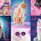 Puzzle - Trefl - Super kočky