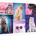 Puzzle - Trefl - Super kočky