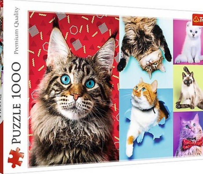 Puzzle - Trefl - Veselé kočky