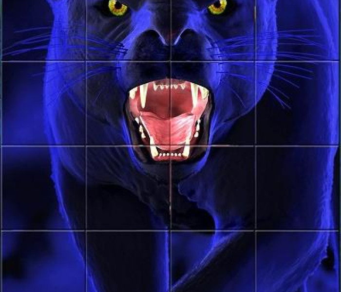 Puzzle - Piatnik - Panter - Puzzle s 3D efektem
