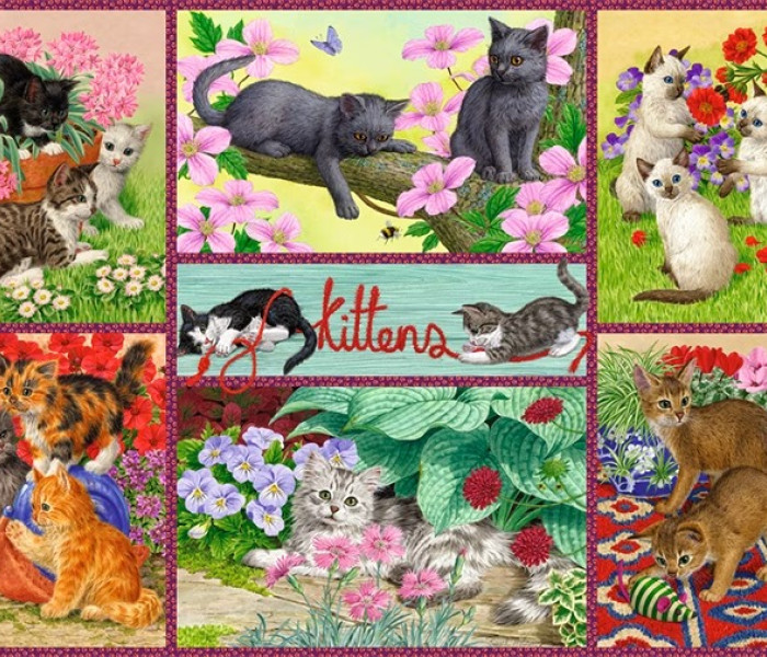 Puzzle - Falcon - Hravá koťata